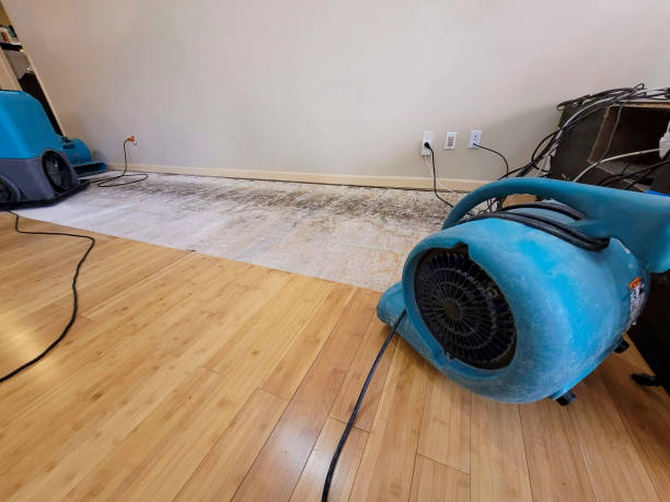 Professional Water Extraction technician working in Wolf Creek, UT
